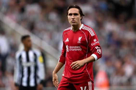 汪小菲婚内,出轨真相被,揭露,金年会官网,金年会平台,金年会体育,金年会APP