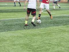 法兰克福主,场不敌勒沃,库森,金年会官网,金年会平台,金年会体育,金年会APP