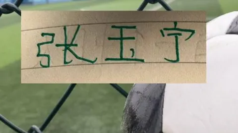 “中国记者日本采访遭偷拍，日媒发出警示”